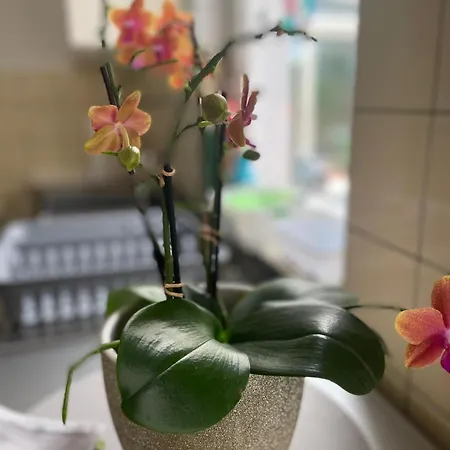 Mit Wintergarten In Bahnhofsnaehe