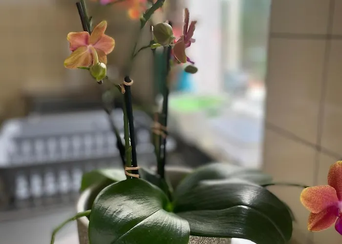 Mit Wintergarten In Bahnhofsnaehe